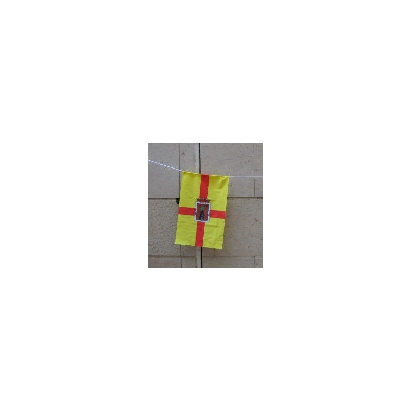 Bandera poliéster municipio, tira de cuerda 10 m