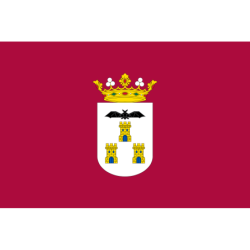 Bandera poliéster capital