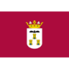 Bandera poliéster capital