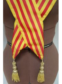 Detalle de banda de concejal bandera de Aragón