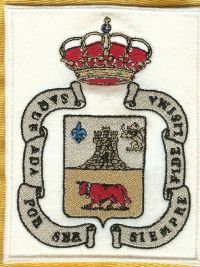 Parche de escudo municipal de Borja