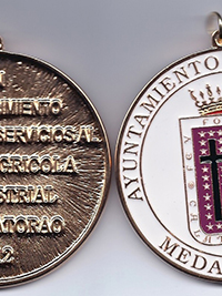 Medalla de la ciudad