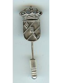 Pin de plata de señora