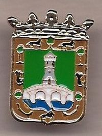 Pin municipal