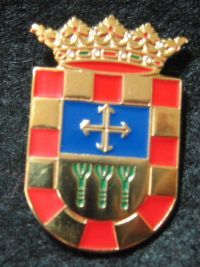 Pin municipal