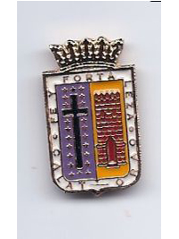 Pin municipal