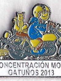 Pin de Concentración