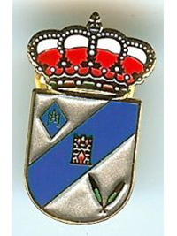 Pin municipal