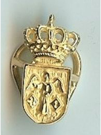 Pin de oro de caballero