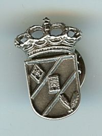 Pin de plata de caballero